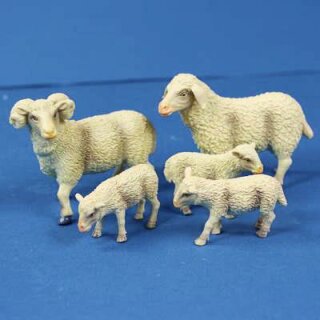 Schaf-Familie