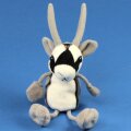 Fipu Oryx-Antilope