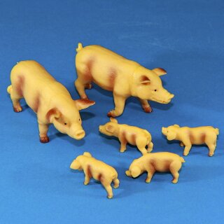 Schweine-Familie