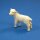 AnimalPlanet Lamm