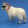 AnimalPlanet Widder s/w
