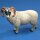AnimalPlanet Widder s/w