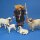 AnimalPlanet Lamm s/w