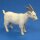 AnimalPlanet Ziege