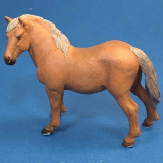AnimalPlanet Pferd