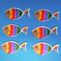 6 Holzfische Regenbogen