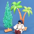 Palme & Zypresse gelasert