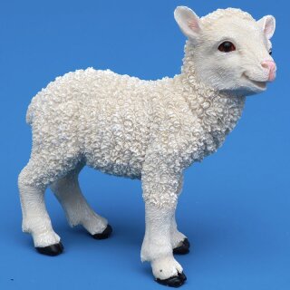 Großes Lamm
