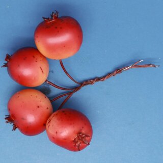 Granatapfel-Bund Dkl.Rot