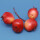 Granatapfel-Bund Dkl.Rot