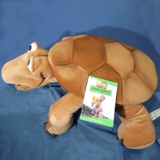 Schildkröte Sammy
